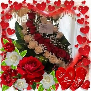 Meet your Posher, Lina